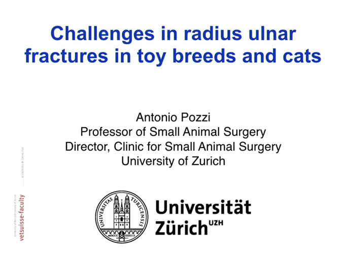 Challenges in radius ulnar fractures in toy breeds and cats ...